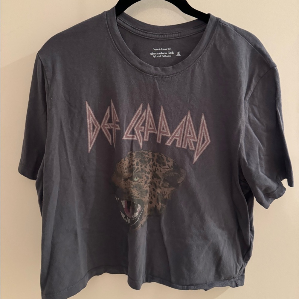 A&F Cropped Relaxed Def Leppard